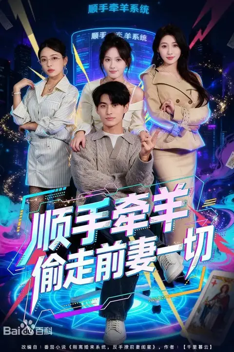 《顺手牵羊偷走前妻一切》封面