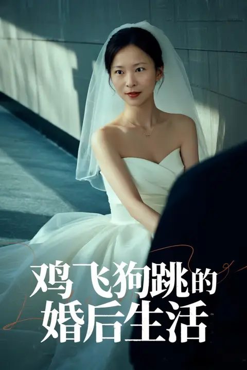 《鸡飞狗跳的婚后生活》封面