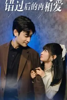 《错过后的再相爱》封面