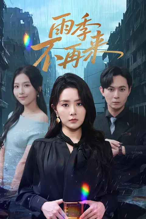 《雨季不再来》封面