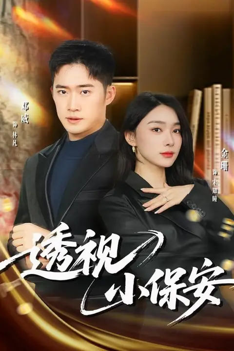 《透视小保安》封面