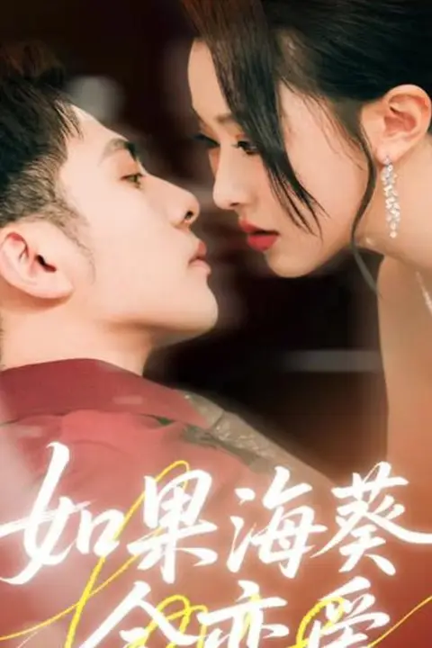 《如果海葵会恋爱》封面