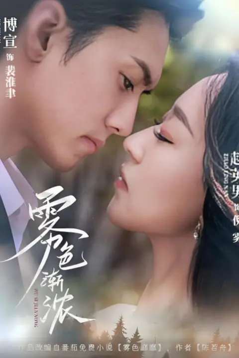 《雾色渐浓》封面