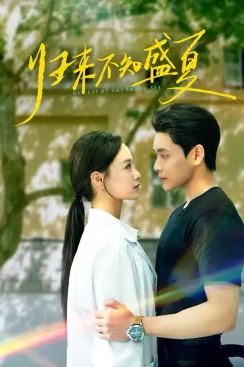 《归来不知盛夏》封面