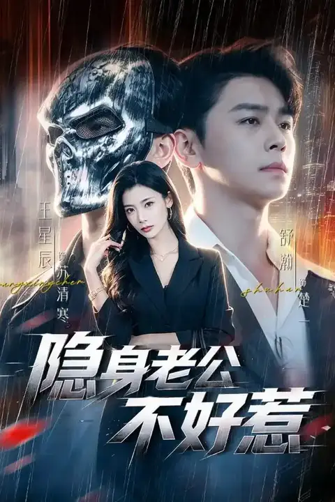 《隐身老公不好惹》封面