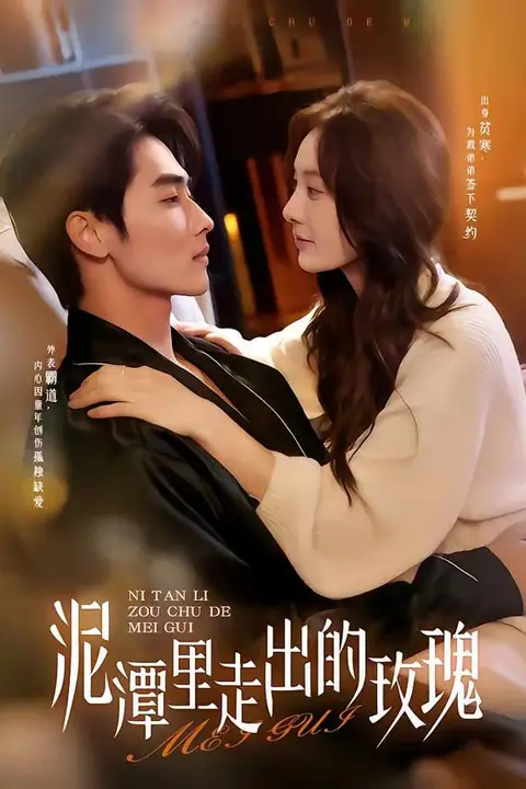 《泥潭里走出的玫瑰》封面