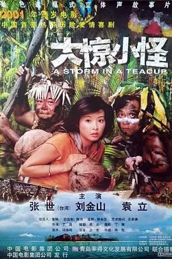 《大惊小怪 2000》封面