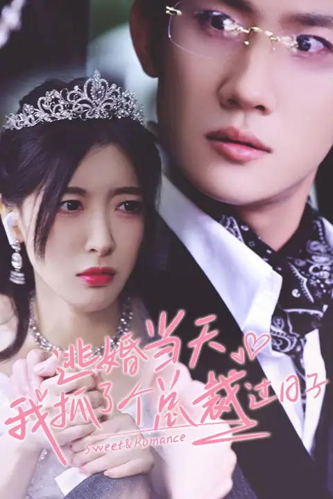 《逃婚当天我抓了个总裁过日子》封面