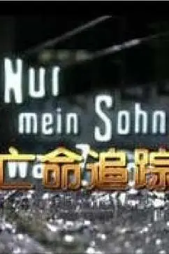 《亡命追踪(国语版)》封面