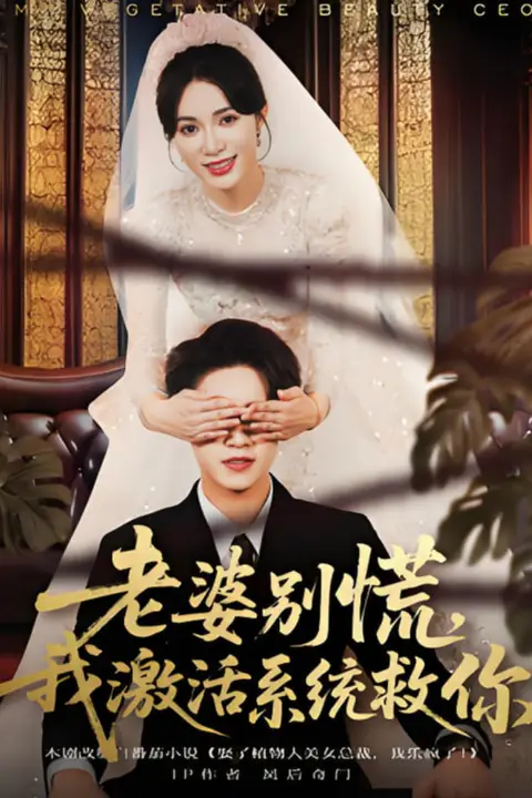 《老婆别慌,我激活系统救你》封面