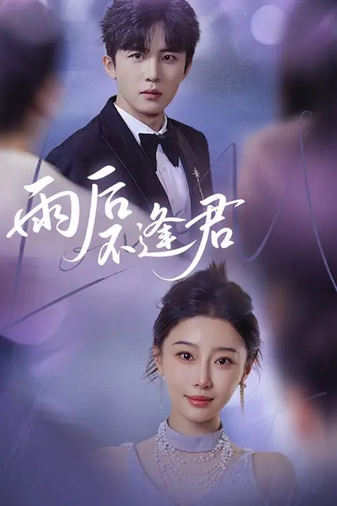 《雨后不逢君》封面