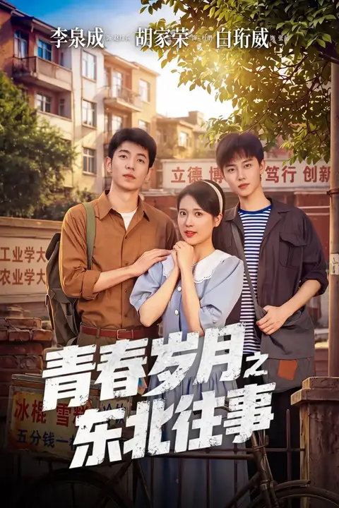 《青春岁月之东北往事》封面