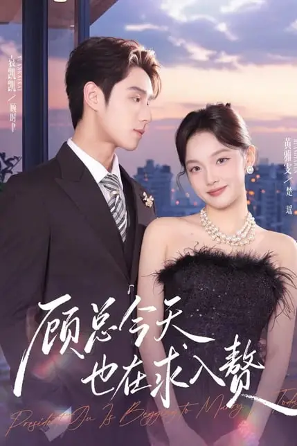 《顾总今天也在求入赘》封面