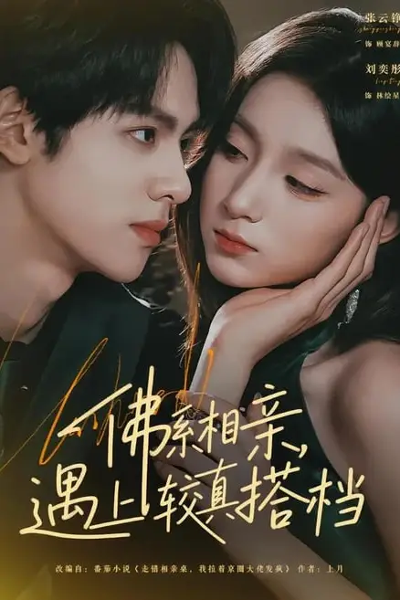 《佛系相亲,遇上较真搭档》封面