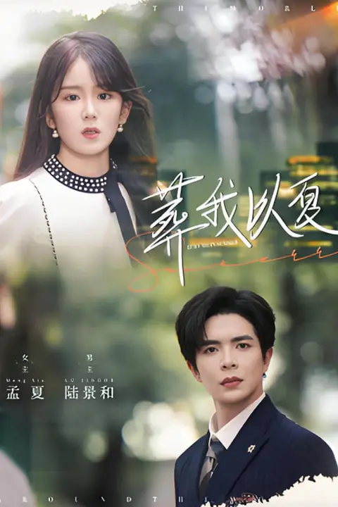 《葬我以夏》封面