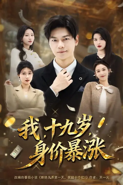 《我十九岁身价暴涨》封面