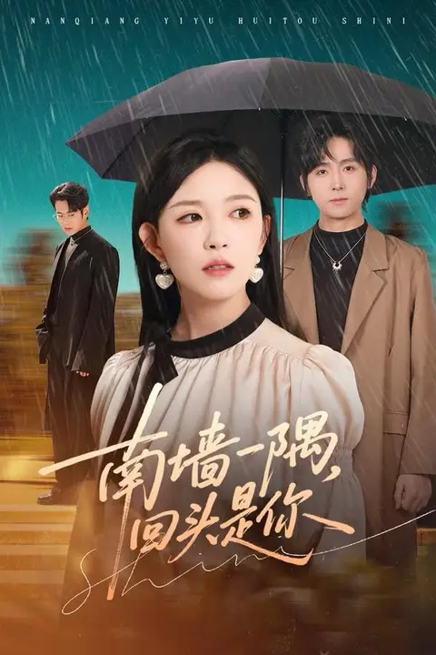 《南墙一隅，回头是你》封面