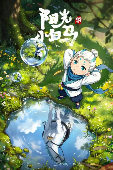 《阳光小白马》封面