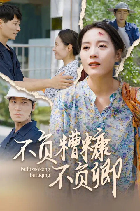 《不负糟糠不负卿》封面