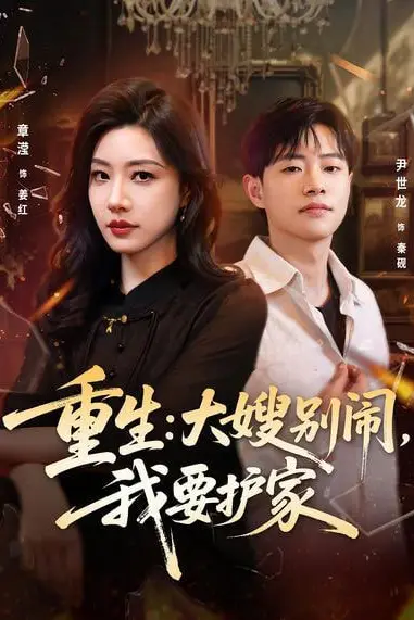 《重生:大嫂别闹,我要护家》封面