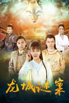 《龙城谜案》封面