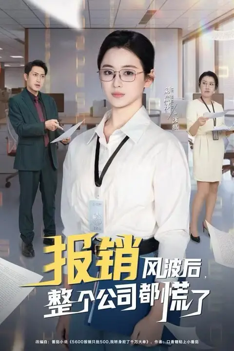 《报销风波后,整个公司都慌了》封面