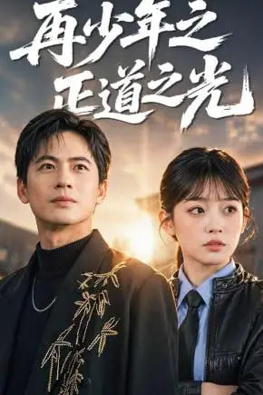 《再少年之正道之光》封面