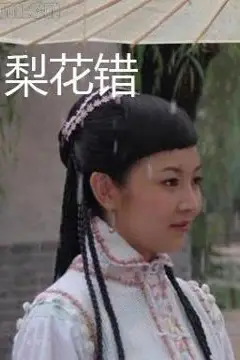 《梨花错》封面