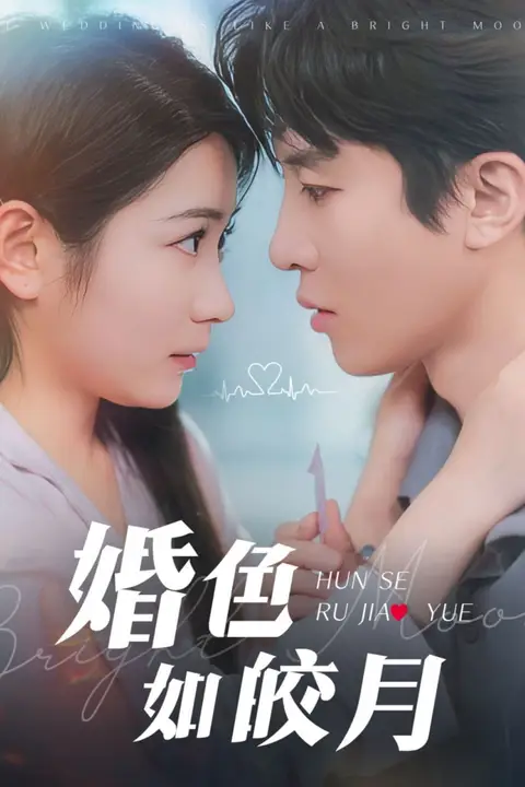 《婚色如皎月》封面