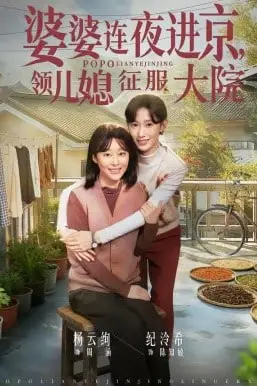 《婆婆连夜进京,领儿媳征服大院》封面