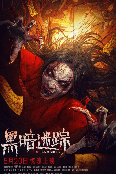《黑暗迷踪》封面