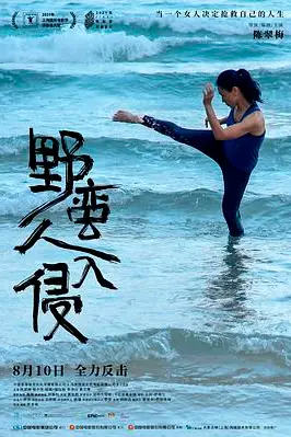 《野蛮人入侵》封面