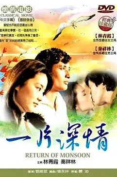 《一片深情》封面