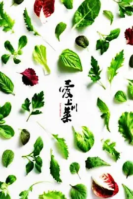 《爱上川菜》封面
