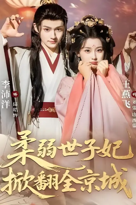 《柔弱世子妃掀翻全京城》封面