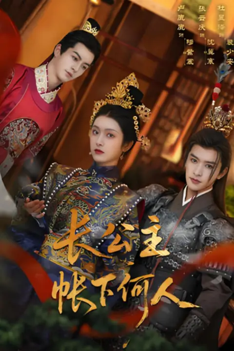 《长公主帐下何人》封面