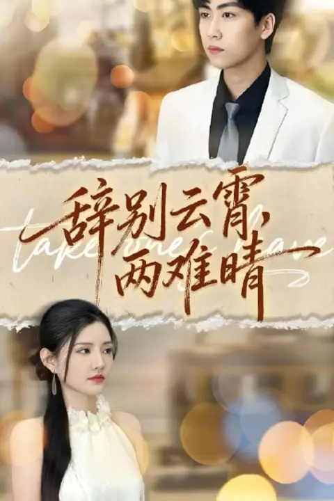 《辞别云霄两难晴》封面