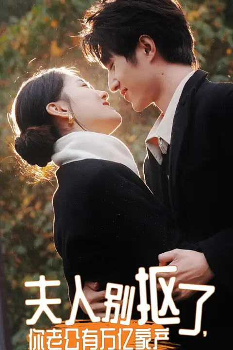 《夫人别抠了，你老公有万亿家产》封面