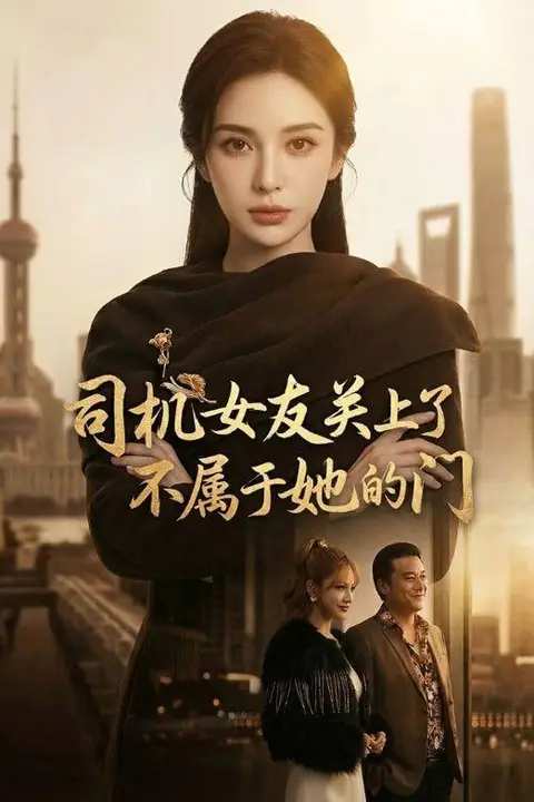 《司机女友关上了不属于她的门》封面