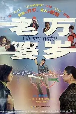 《老婆万岁》封面