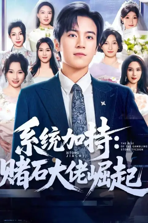 《统加持:赌石大佬崛起(少年赌神:从原石到顶流)》封面