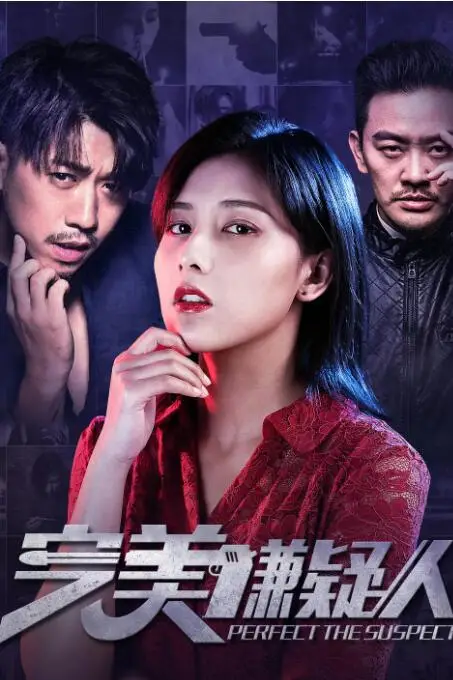 《完美嫌疑人》封面