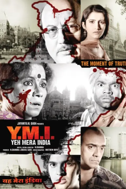 《Y.M.I.这就是我的印度》封面