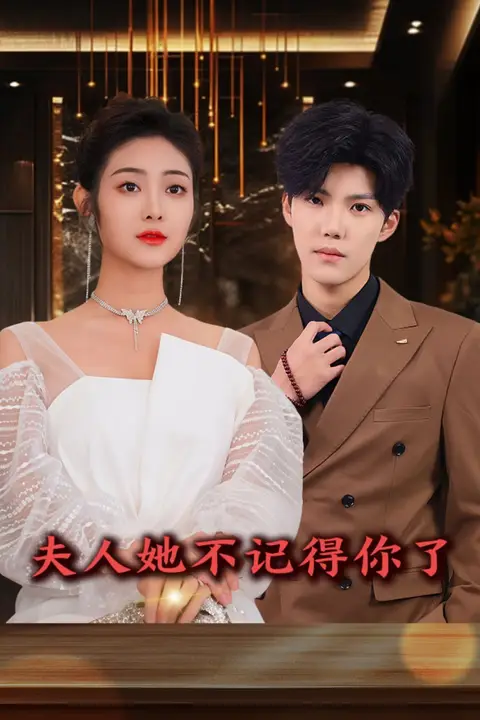 《夫人她不记得你了》封面