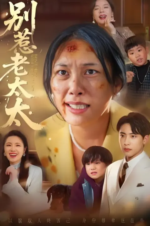 《别惹老太太（谁说她没人撑腰）》封面