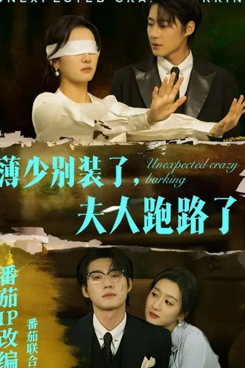 《薄少别装了夫人跑路了》封面