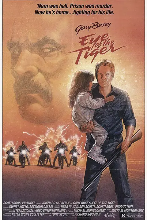 《虎之眼》封面