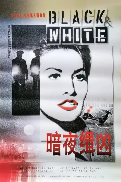 《暗夜缉凶》封面