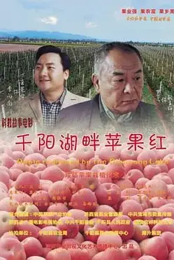 《千阳湖畔苹果红》封面