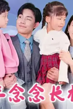 《年年念念长相思》封面